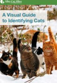 Image of E-book A Visual Guide to Identifying Cats