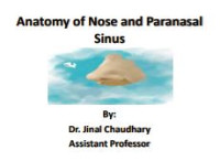 Image of E-book Anatomy of Nose and Paranasal Sinus