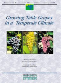 Image of E-book Growing Table Grapes in a Temperate Climate