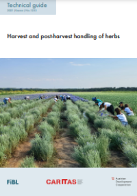 Image of E-book Harvest and Post Harvest Handling of Herbs