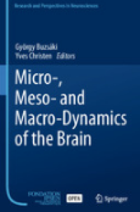 Image of E-book Micro, Meso and Macro Dynamics of the Brain