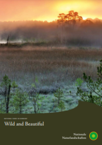 Image of E-book National Parks in Germany : Wild and Beautiful