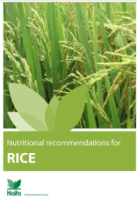 Image of E-book Nutriotional Recommendations for Rice
