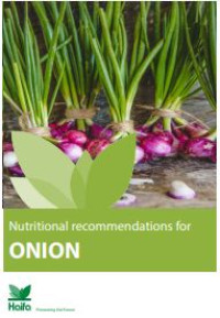 Image of E-book Nutritional Recommendations for Onion