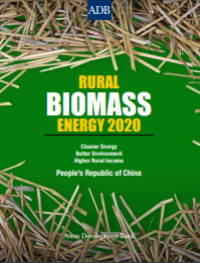 Image of E-book Rural Biomass Energy 2020
