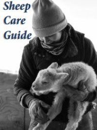 Image of E-book Sheep Care Guide
