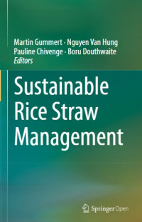 Image of E-book Sustainable Rice Straw Management