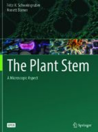Image of E-book The Plant Stem : A Microscopic Aspect