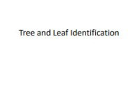 Image of E-book Tree and Leaf Identification