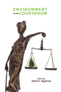 Image of E-book Environment in the Courtroom