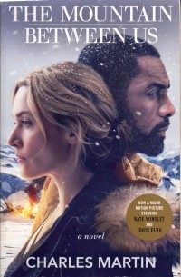 Image of The mountain between us