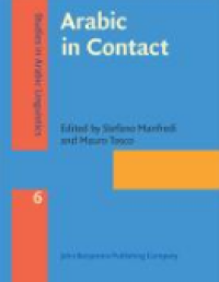Image of E-book Arabic in Contact
