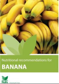 Image of E-book Banana