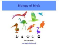 Image of E-book Biology of Birds