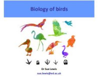 Image of E-book Biology of Birds