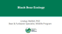 Image of E-book Black Bear Ecology