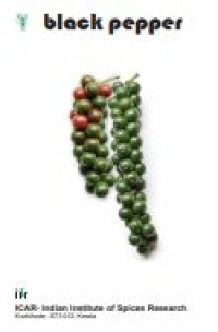 Image of E-book Black Pepper