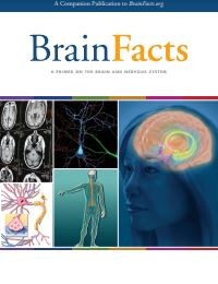 Image of E-book Brain Facts : A Primer on the Brain and Nervous System