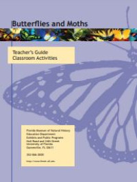 Image of E-book Butterflies and Moths