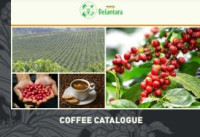 Image of E-book Coffee Catalogue