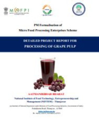 Image of E-book Detailed Project Report for Processing of Grape Pulp