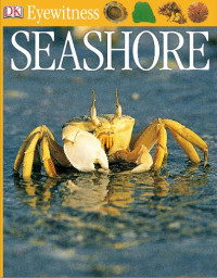 Image of E-book Eyewitness: Seashore