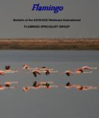 Image of E-book Flamingo