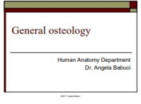 Image of E-book General Osteology