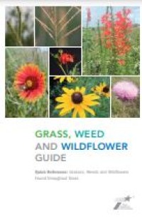 Image of E-book Grass, Weed, and Wildflower Guide
