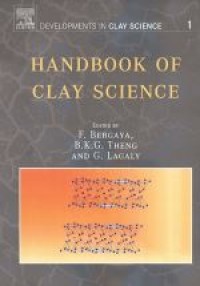Image of E-book Handbook of Clay Science