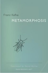 Image of E-Book Metamorphosis