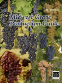 Image of E-book Midwest Grape Production Guide