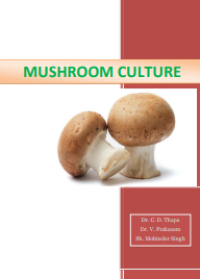 Image of E-book Mushroom Culture