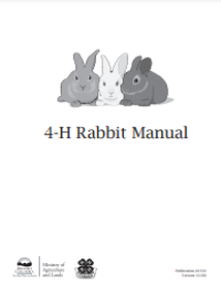 Image of E-book Rabbit Manual