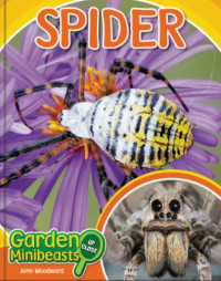 Image of E-book Spider (Garden Minibeasts Up Close)
