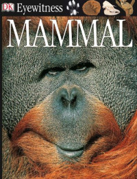 Image of E-book Eyewitness: Mammal