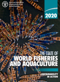 Image of E-book The State of World Fisheries and Aquaculture