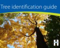Image of E-book Tree Identification Guide