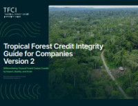 Image of E-book Tropical Forest Credit Integrity Guide for Companies