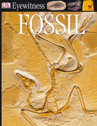 Image of Ebook DK Eyewitness: Fossil