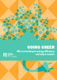 Image of E-book Going Green : Who is Investing in Energy Efficiency and Why It Matters