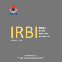 Image of E-book Indeks Risiko Bencana Indonesia tahun 2021